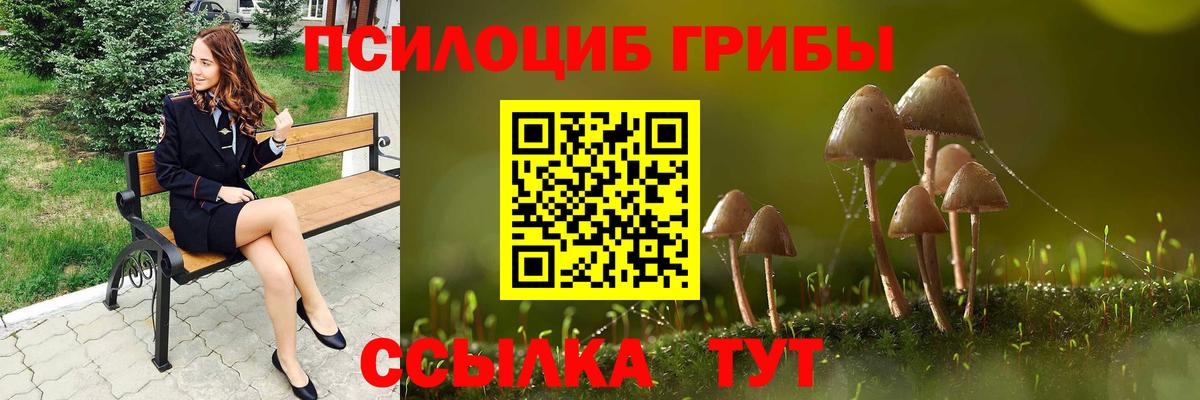 Новокубанск  Галлюциногенные грибы мицелий  Вход с VPN  наркота  Галлюциногенные грибы Magic Shrooms 